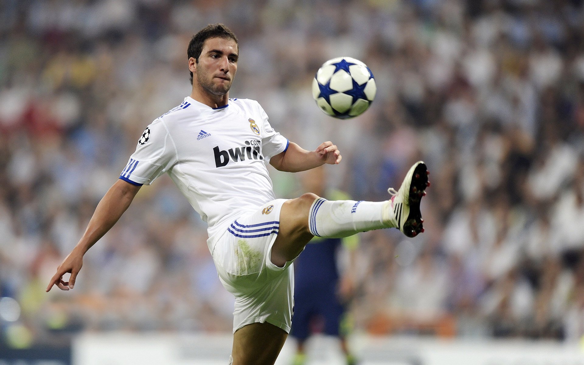 墨尔本联防守强度逐步加强，墨尔本城比赛直播